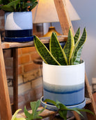 Large Minute Ceramic Pots & Saucer | 6", 7" & 8" Indoor Planter - Chive Ceramics Studio - Pots - Chive Ceramics Studio