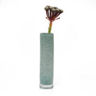 Nova Glass Flower Vase - Chive Plant Studio - Vases - Chive Studio 2024