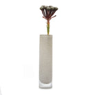 Nova Glass Flower Vase - Chive Plant Studio - Vases - Chive Studio 2024