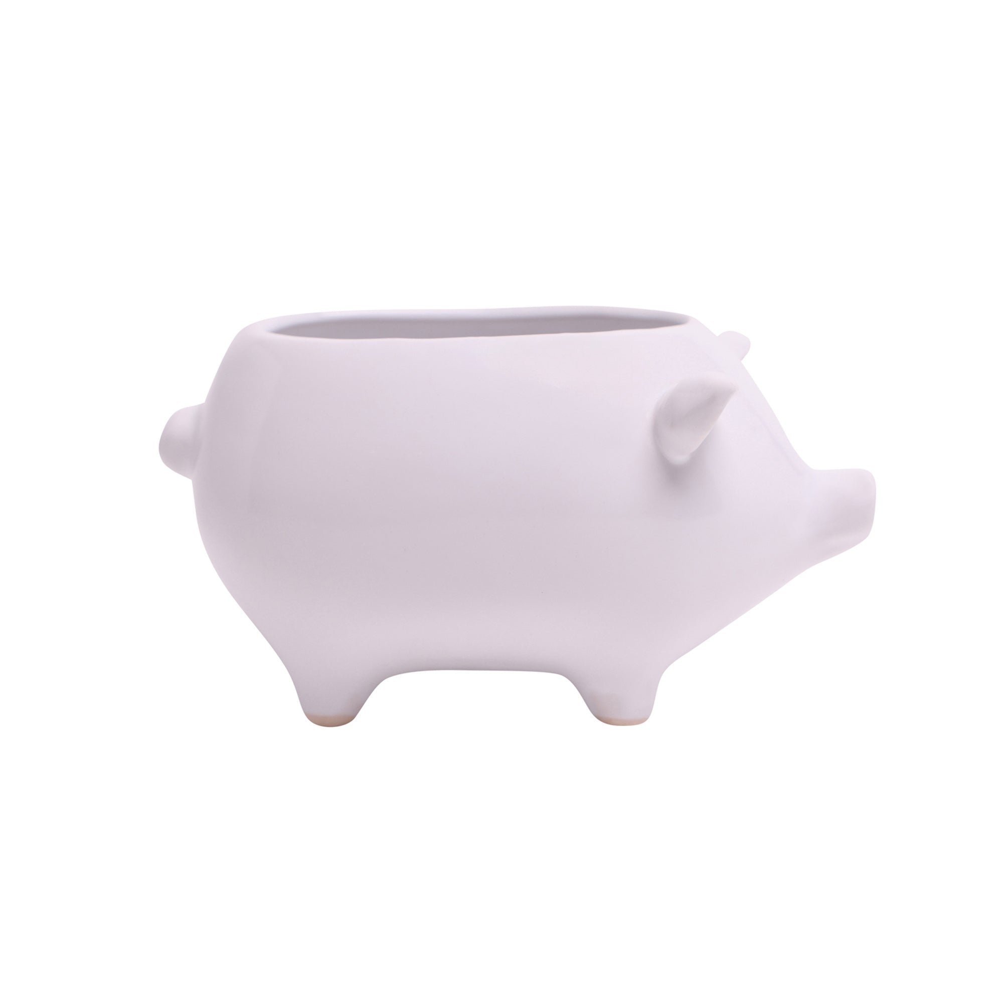 A white Pig Ceramic Indoor Plant Pot For Succulents from Chive Studio 2024, isolated on a white background, featuring a simplistic design with an opening on the top for plants.