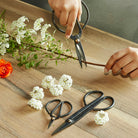 Scissor Set For Garden - Chive Plant Studio - Plant Accessories - Chive Studio 2024