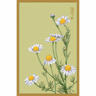 Chamomile Flower Seeds Packet - Chive Plant Studio - Seed Collection - Chive Studio 2024