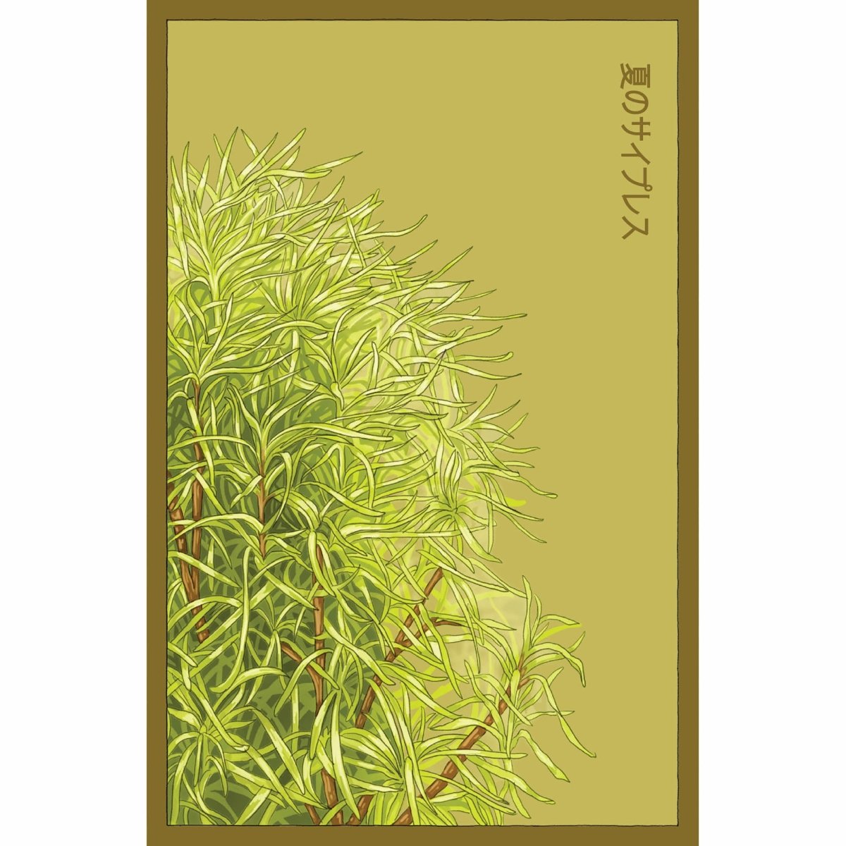 Summer Cypress Flower Seeds Packet - Chive Plant Studio - Seed Collection - Chive Studio 2024