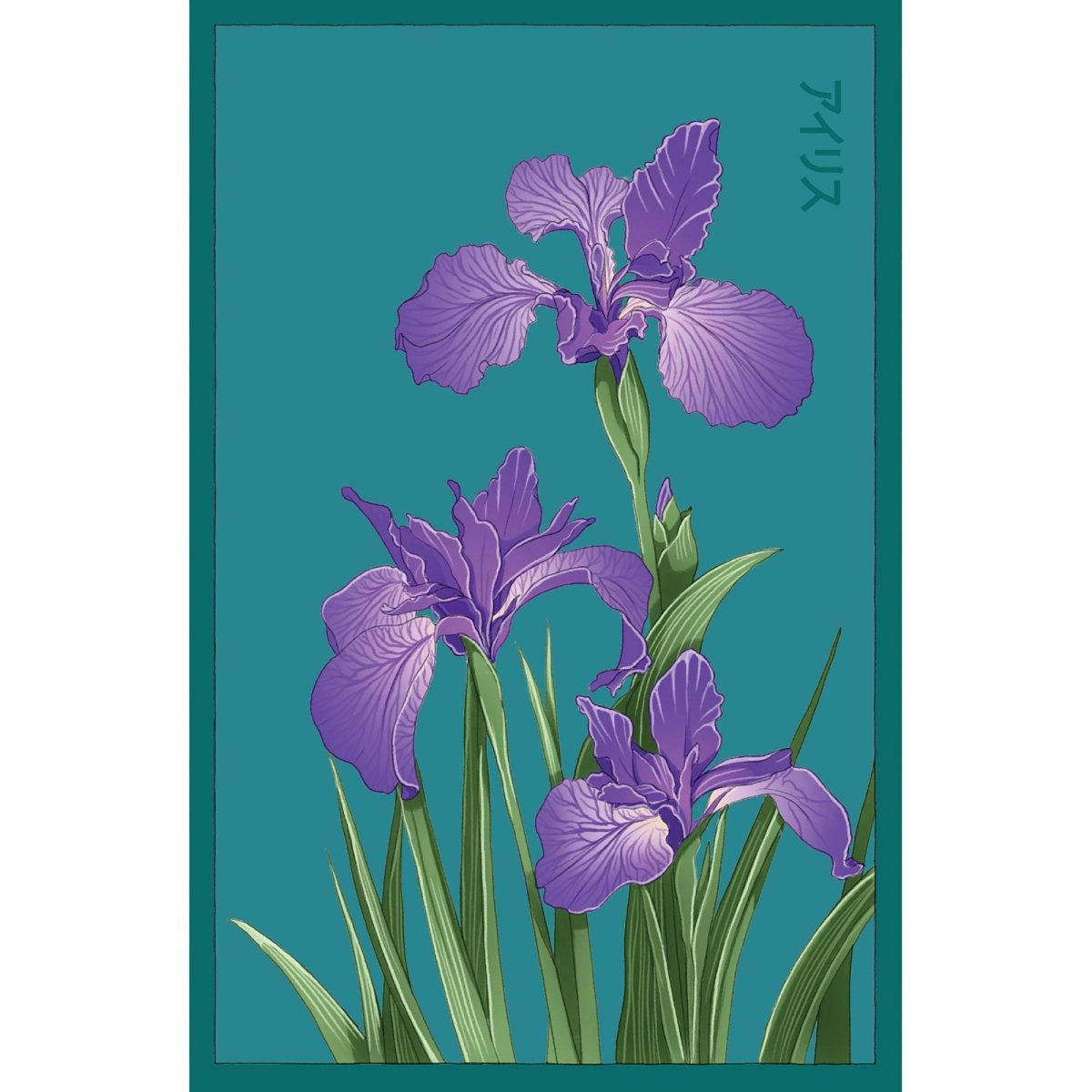 Iris Flower Seeds Packet - Chive Plant Studio - Seed Collection - Chive Studio 2024