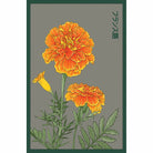 French Marigold Flower Seeds Packet - Chive Plant Studio - Seed Collection - Chive Studio 2024