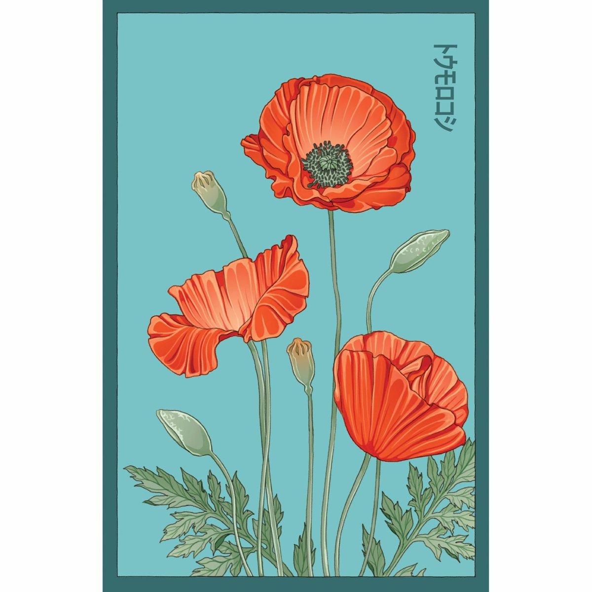 Corn Poppy Flower Seeds Packet - Chive Plant Studio - Seed Collection - Chive Studio 2024