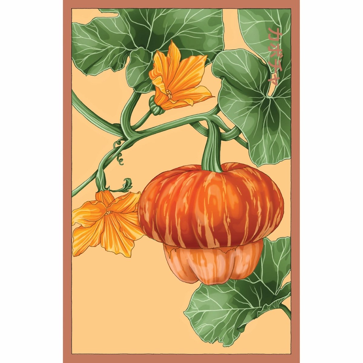 Pumpkin Squash Flower Seeds Packet - Chive Plant Studio - Seed Collection - Chive Studio 2024