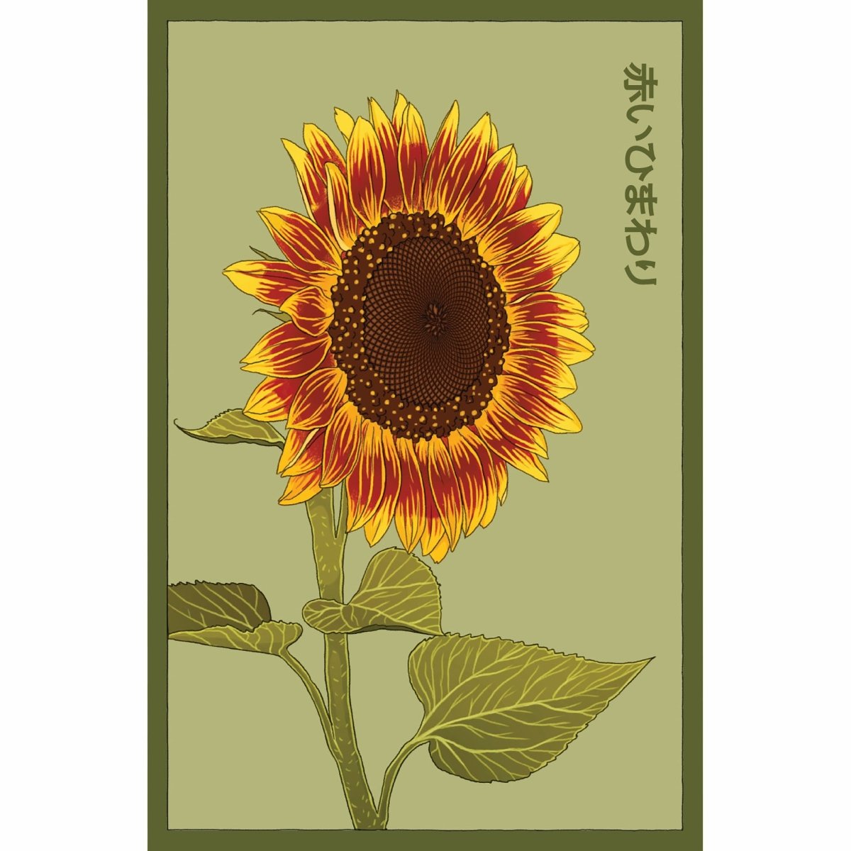 Red Sunflower Flower Seeds Packet - Chive Plant Studio - Seed Collection - Chive Studio 2024