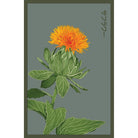 Safflower Flower Seeds Packet - Chive Plant Studio - Seed Collection - Chive Studio 2024