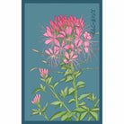 Spiderflower Flower Seeds Packet - Chive Plant Studio - Seed Collection - Chive Studio 2024