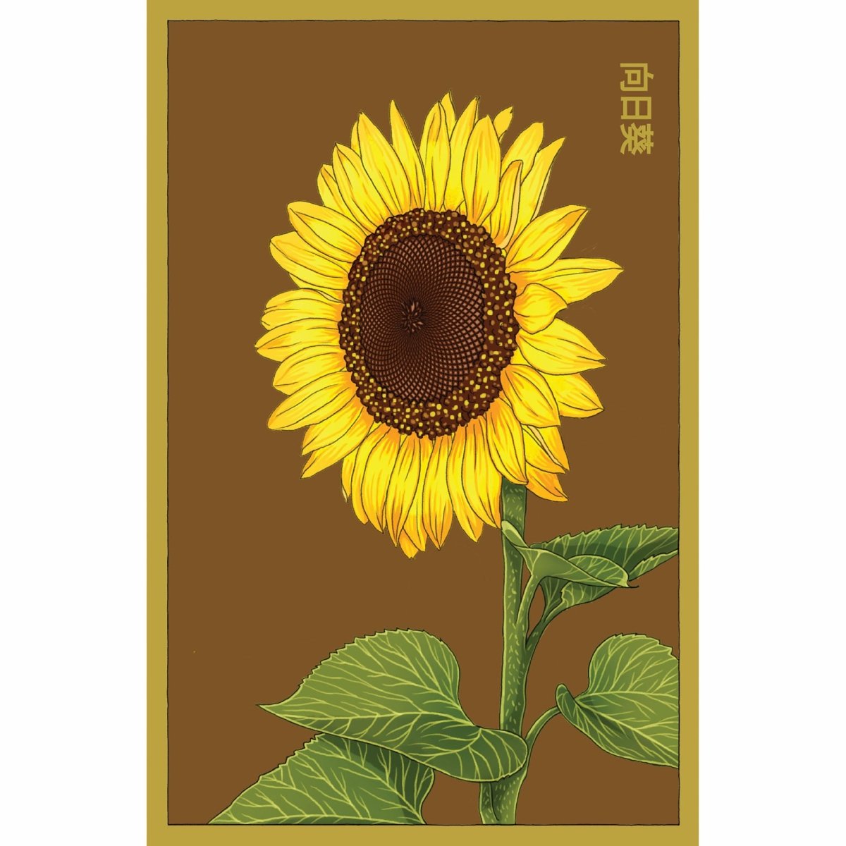 Sunflower Flower Seeds Packet - Chive Plant Studio - Seed Collection - Chive Studio 2024