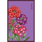 Verbena Flower Seeds Packet - Chive Plant Studio - Seed Collection - Chive Studio 2024