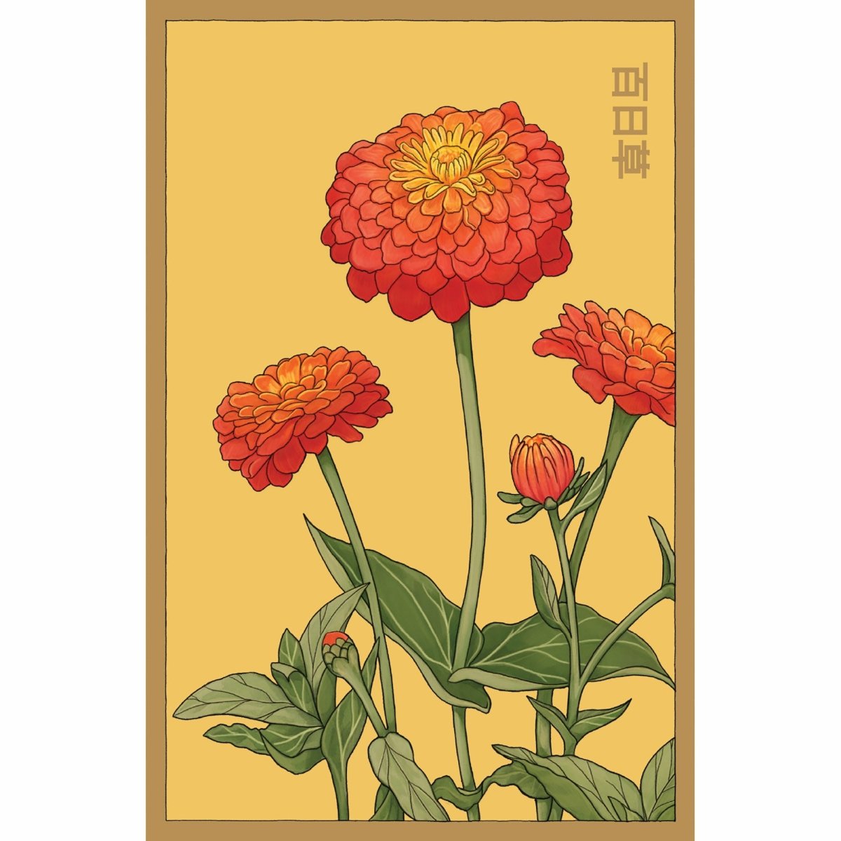 Zinnia Flower Seeds Packet - Chive Plant Studio - Seed Collection - Chive Studio 2024