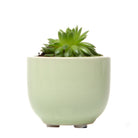 Succulent Cup Ceramic For Weddings - Chive Plant Studio - Pots - Chive Studio 2024