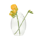 Taylor Glass Modern Clear Flower Vase - Chive Plant Studio - Vases - Chive Studio 2024