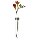 Alu Magnetic Flower Test Tube Holder - Chive Plant Studio - Vases - Chive Studio 2024