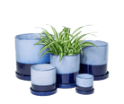 Chive Minute cobalt blue glazed ceramic planters in mini, small, medium, and large sizes styled with a spider plant.