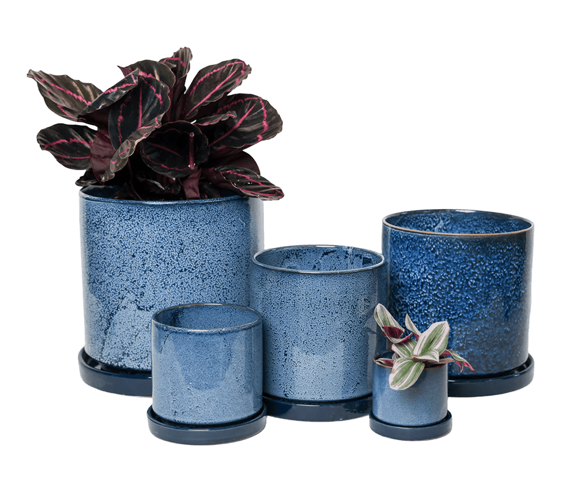 Chive Minute cosmos glazed ceramic planters in mini, small, medium, and large sizes, styled with a plant.