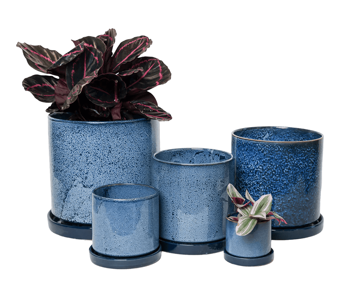 Chive Minute cosmos glazed ceramic planters in mini, small, medium, and large sizes, styled with a plant.