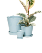 Three Chive Tika fully glazed Ceramic planters in color new grey, in size large, medium, and small styled with a plant.