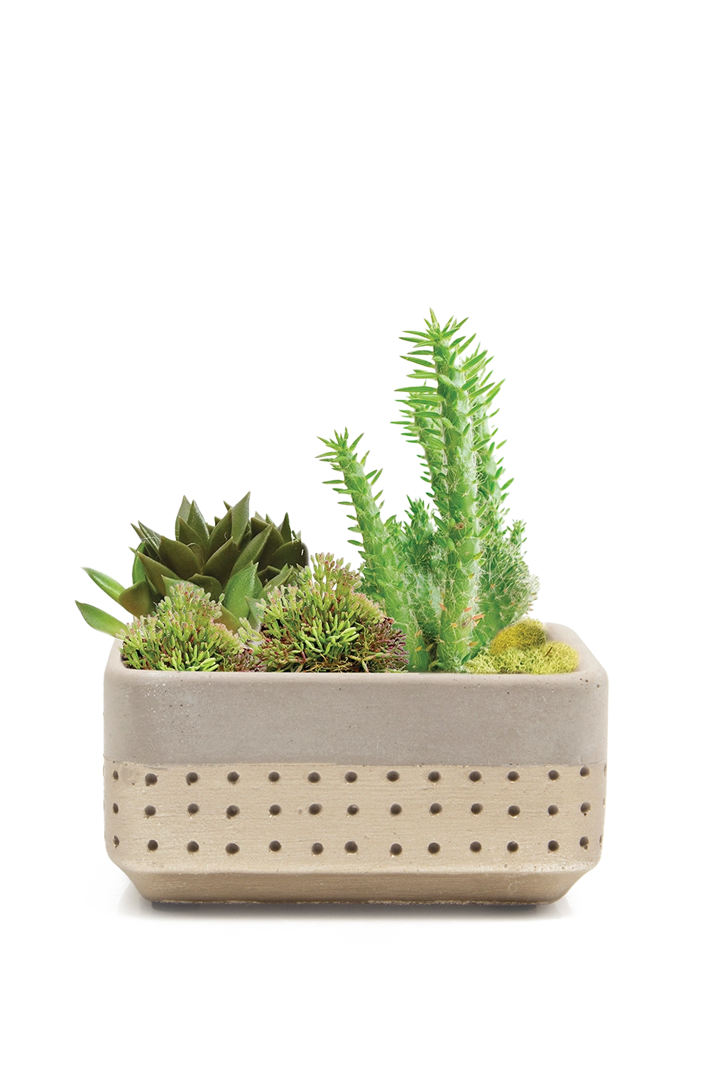 Gold Cement Planter Pot - Meraki - handmade by Chive Studio Toronto