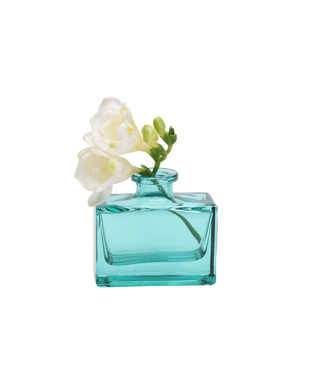 loft.png?crop=region&