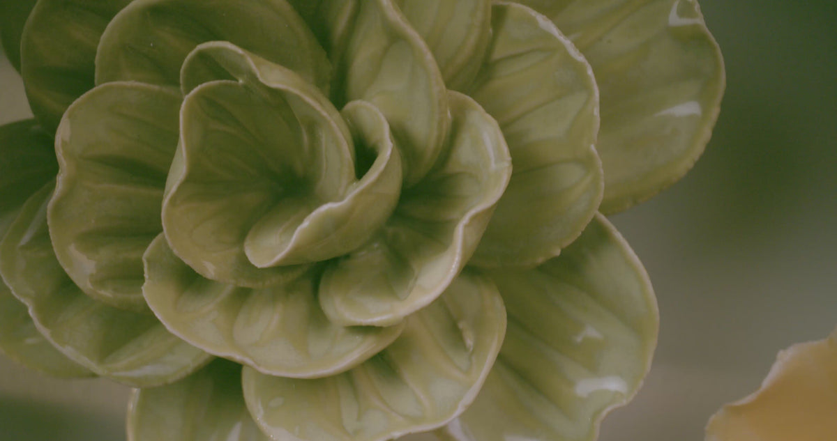 Spinning ceramic flowers, zooming out to see various colors