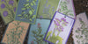 Packets of herb seeds from the Shido line covered in soil and uncovered — by Chive Studio