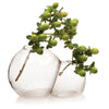 Double Bubble Glass Modern Clear Flower Vase