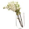 Wall Cup Glass Modern Clear Flower Vase