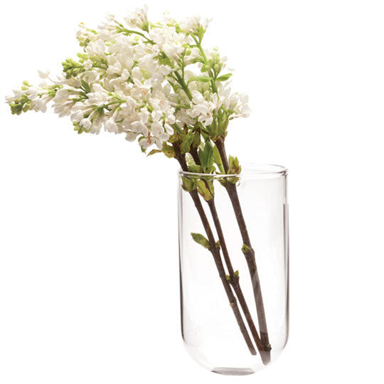 Wall Cup Glass Modern Clear Flower Vase