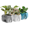 Elephant Ceramic Indoor Plant Pot For Succulents