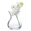George Glass Clear Bud Vase For Flowers
