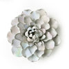 Ceramic Flowers With Keyhole For Hanging On Walls Ivory Collection